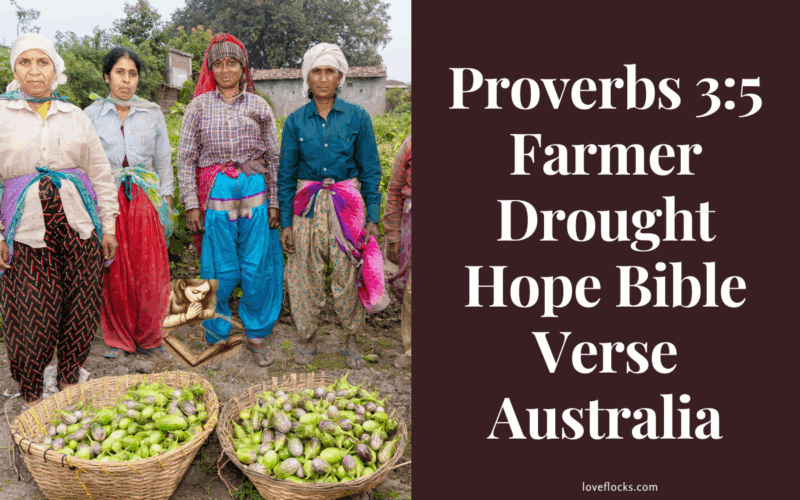 A group of farmers standing together with two baskets of garden eggs.