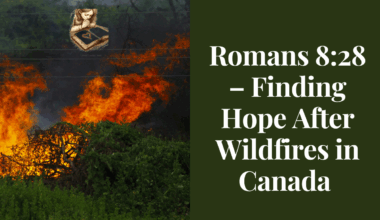 Canada after wildfire