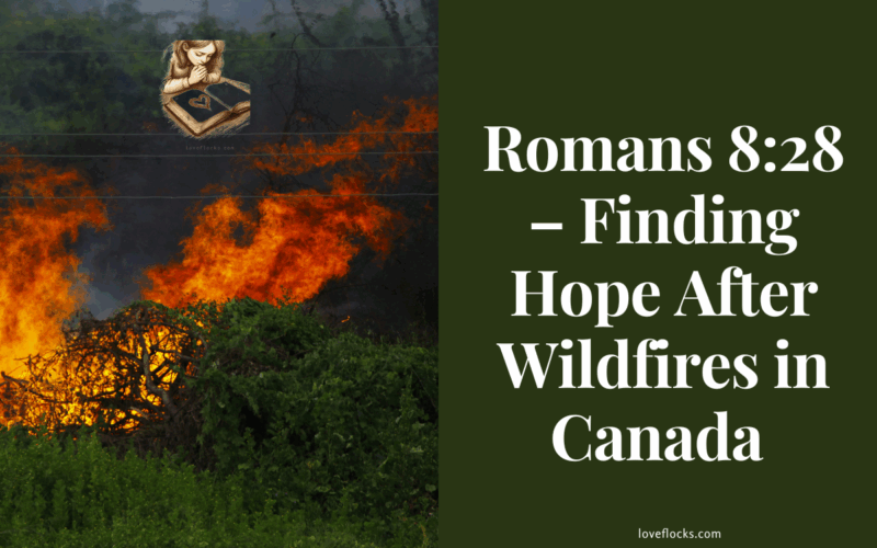 Canada after wildfire