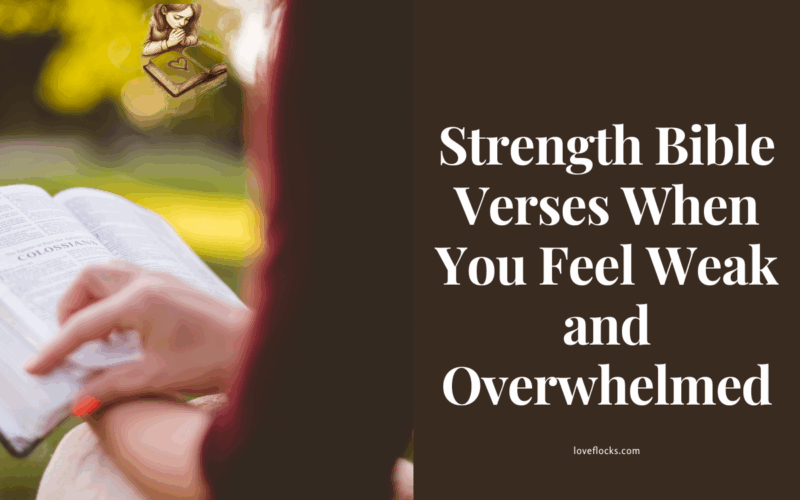 Strength Bible Verses When You Feel Weak and Overwhelmed