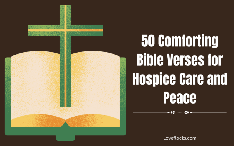 50 Comforting Bible Verses for Hospice Care and Peace