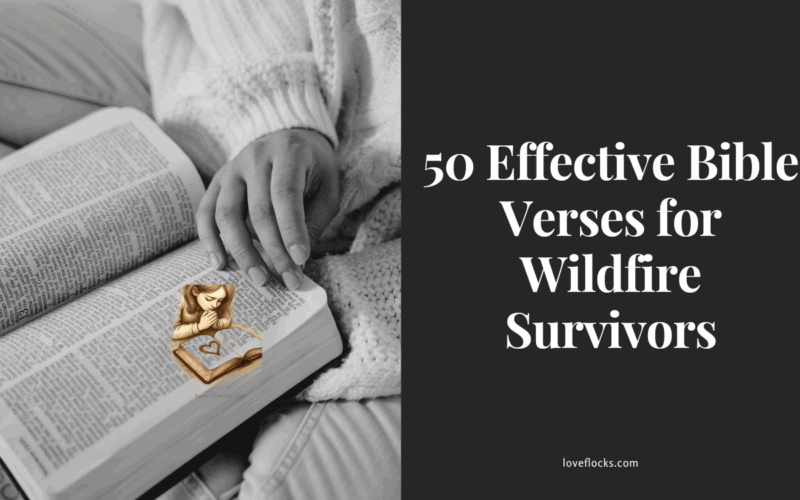 50 Effective Bible Verses for Wildfire Survivors