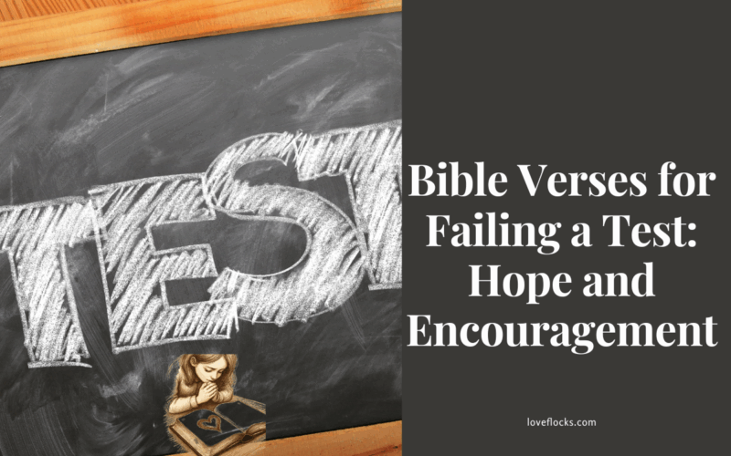 Bible Verses for Failing a Test: Hope and Encouragement