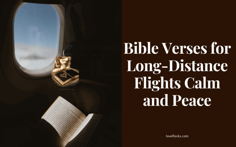 A business class flight passenger reading the bible in a long flight.
