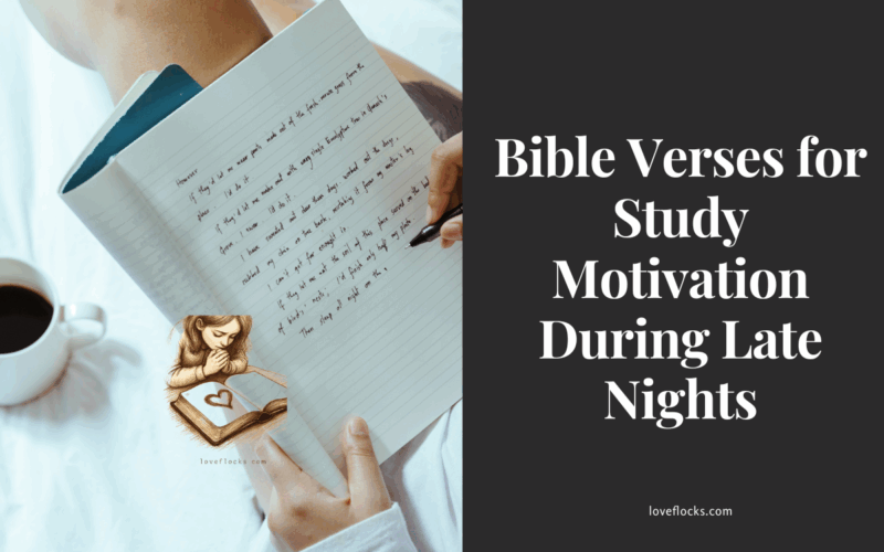 Bible Verses for Study Motivation During Late Nights