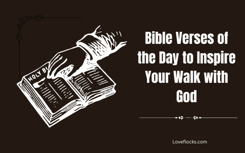 Bible Verses of the Day to Inspire Your Walk with God