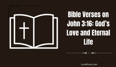 Bible Verses on John 3:16: God’s Love and Eternal Life