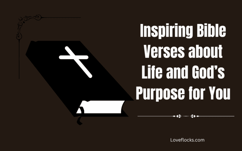 Inspiring Bible Verses about Life and God’s Purpose for You