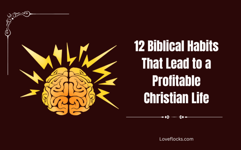 12 Biblical Habits That Lead to a Profitable Christian Life