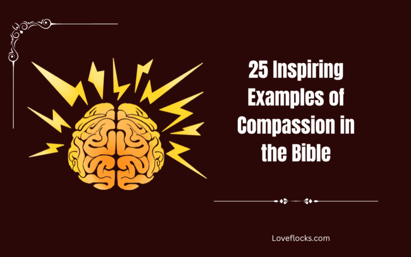 25 Inspiring Examples of Compassion in the Bible