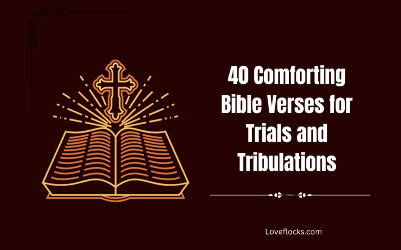 40 Comforting Bible Verses for Trials and Tribulations
