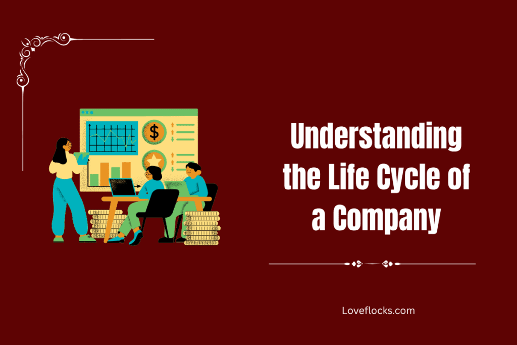 Understanding the Life Cycle of a Company