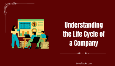 Understanding the Life Cycle of a Company