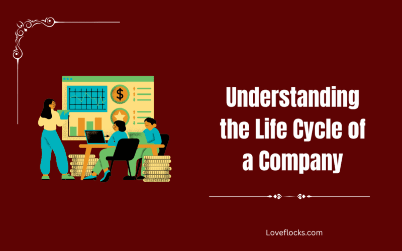 Understanding the Life Cycle of a Company