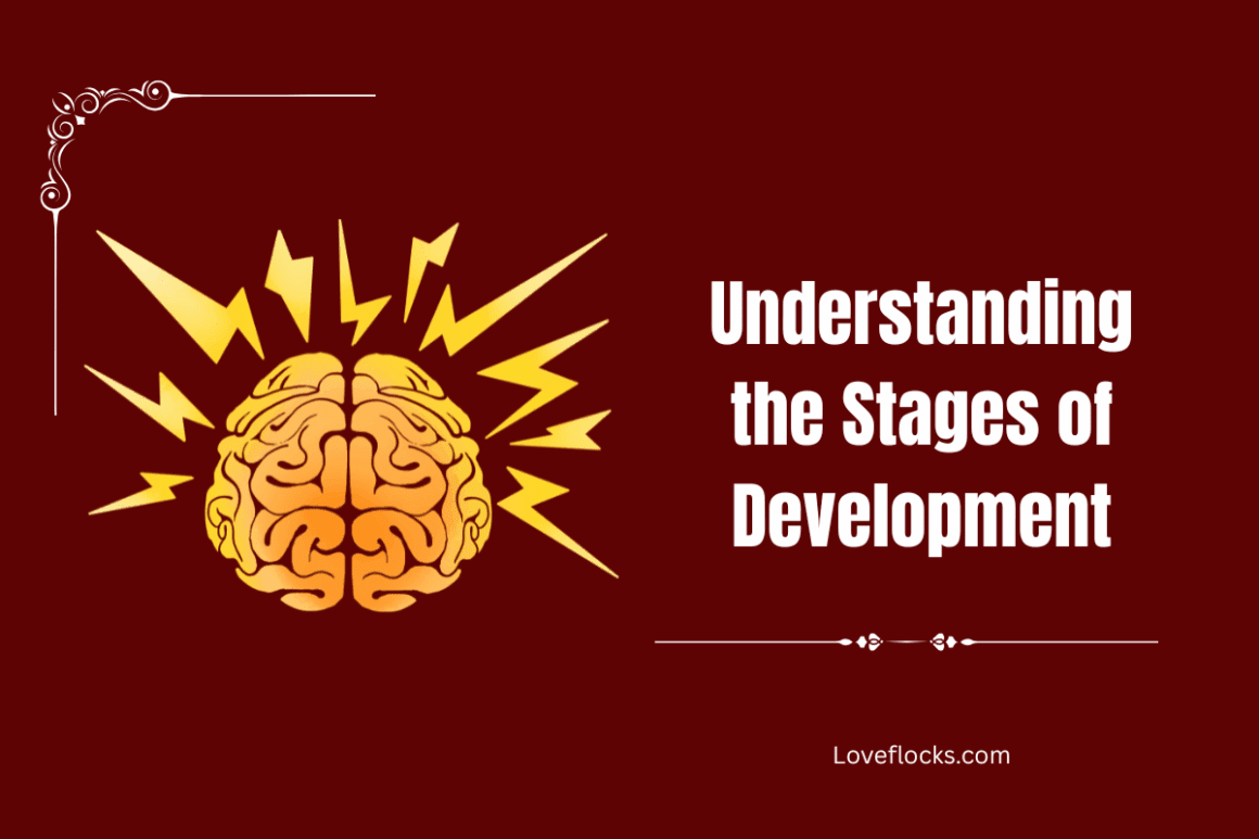 Understanding The Stages Of Development