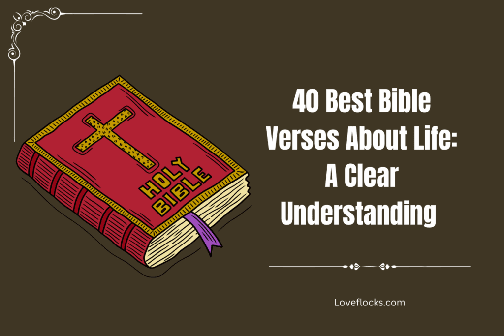 40 Best Bible Verses About Life: A Clear Understanding 