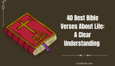 40 Best Bible Verses About Life: A Clear Understanding