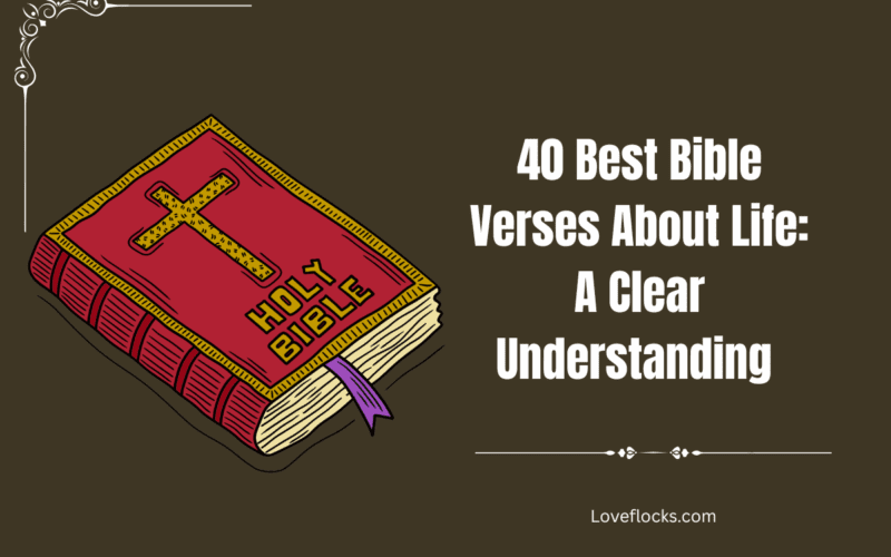 40 Best Bible Verses About Life: A Clear Understanding