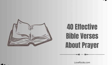 40 Effective Bible Verses About Prayer