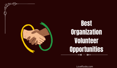 Best Organization Volunteer Opportunities