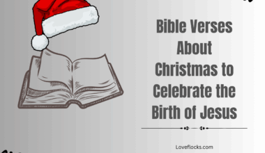 Bible Verses About Christmas to Celebrate the Birth of Jesus
