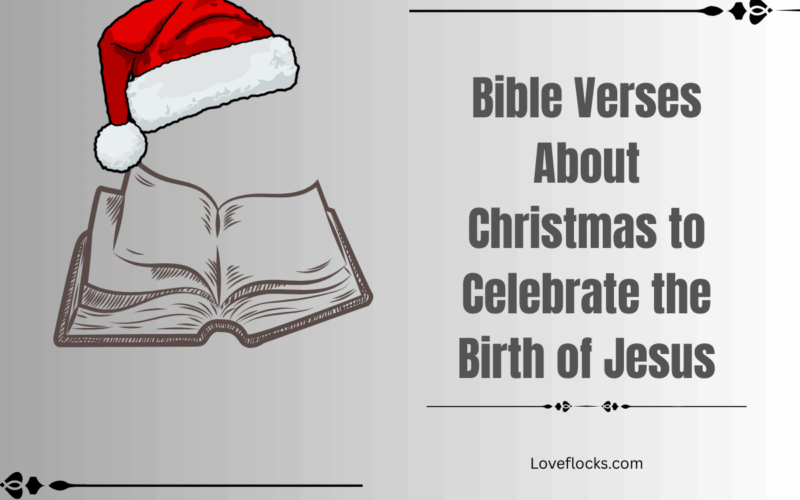 Bible Verses About Christmas to Celebrate the Birth of Jesus