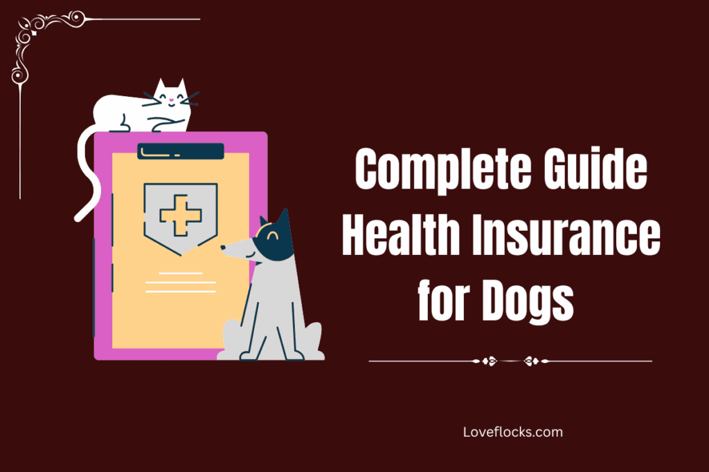 Complete Guide Health Insurance for Dogs 2026