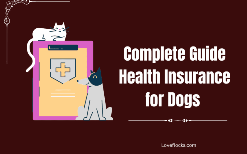 Complete Guide Health Insurance for Dogs 2026