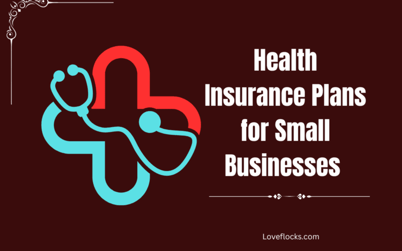Health Insurance Plans for Small Businesses