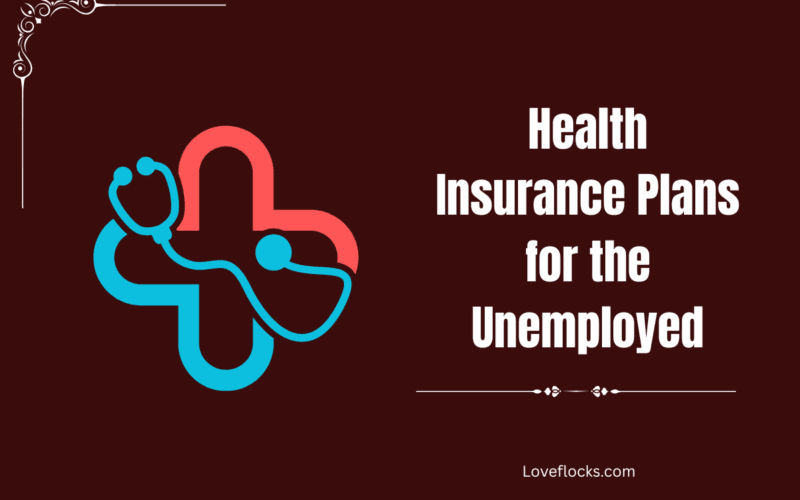 Health Insurance Plans for the Unemployed