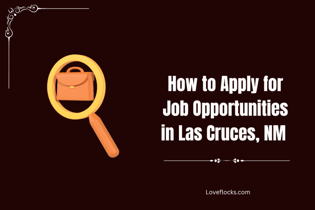 How to Apply for Job Opportunities in Las Cruces, NM