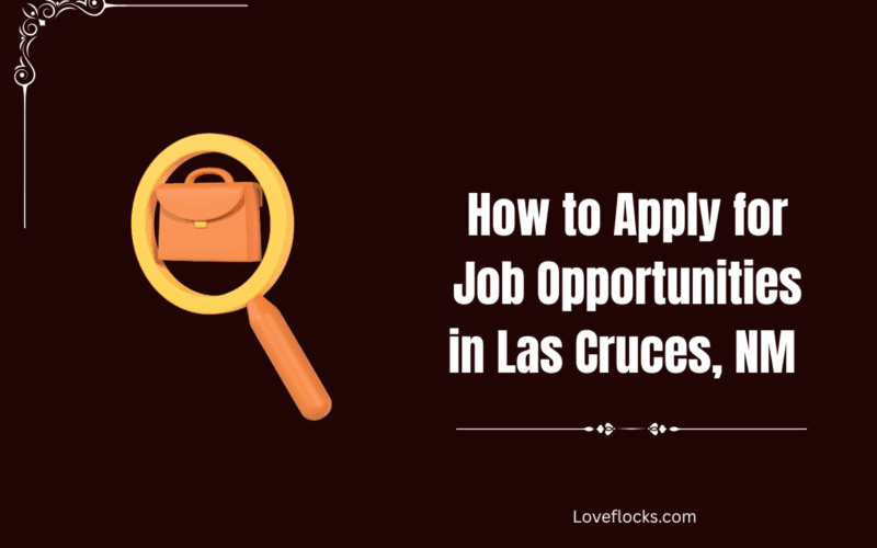 How to Apply for Job Opportunities in Las Cruces, NM