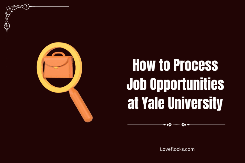 How to Process Job Opportunities at Yale University