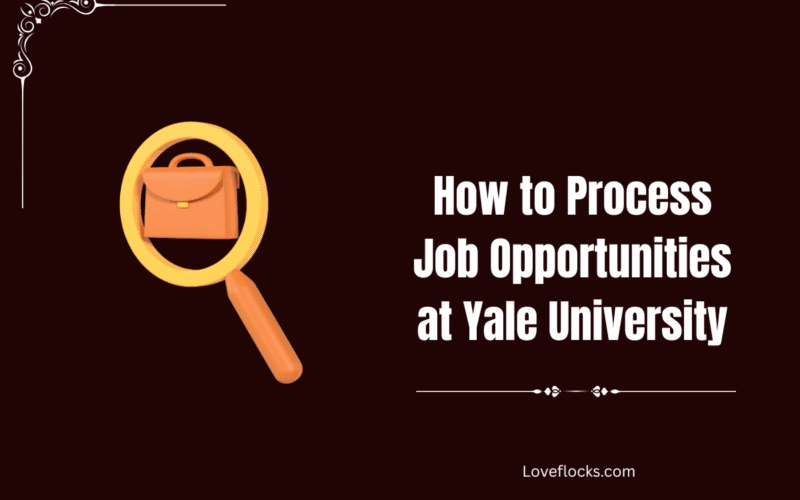 How to Process Job Opportunities at Yale University