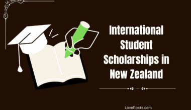 International Student Scholarships in New Zealand