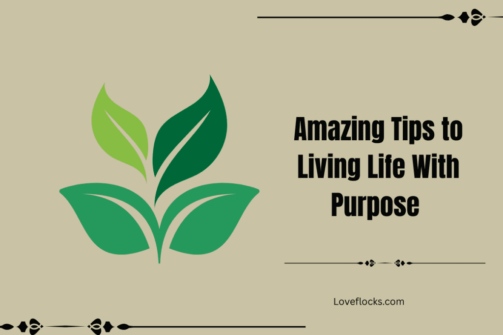 Amazing Tips to Living Life With Purpose in 2026