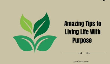 Amazing Tips to Living Life With Purpose in 2026
