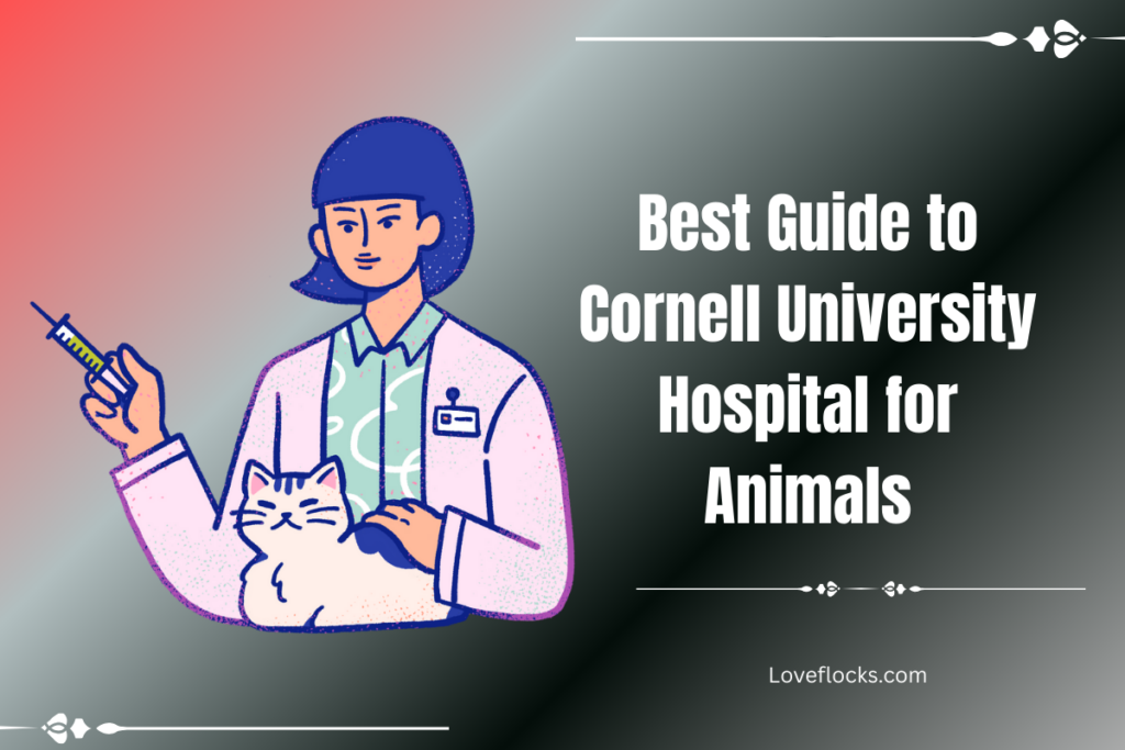 Best 2026 Guide to Cornell University Hospital for Animals