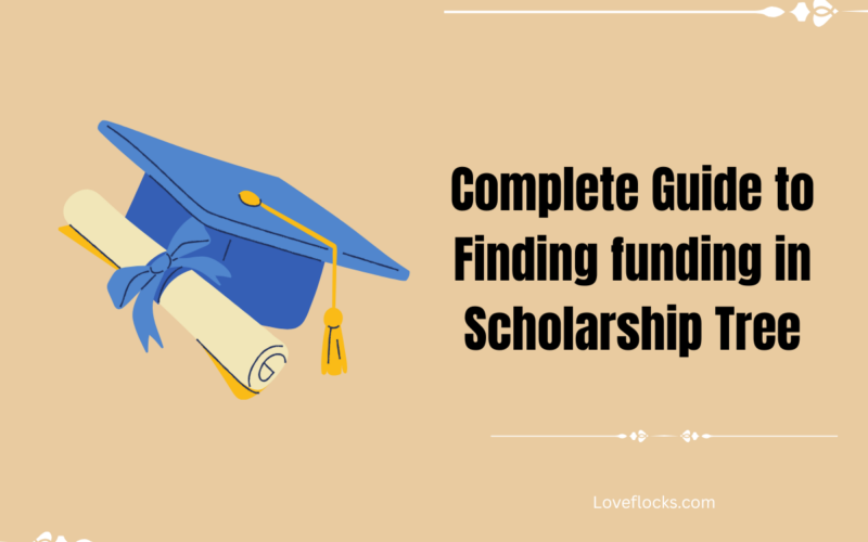 Complete Guide to Finding funding in Scholarship Tree