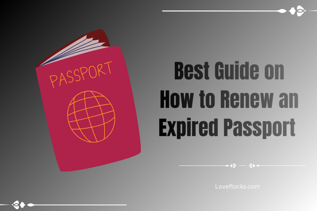 Best Guide on How to Renew an Expired Passport