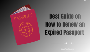 Best Guide on How to Renew an Expired Passport