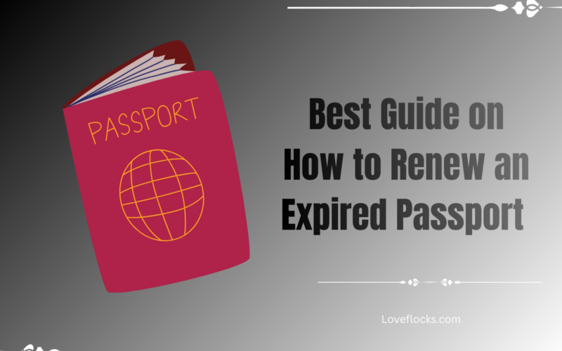 Best Guide on How to Renew an Expired Passport
