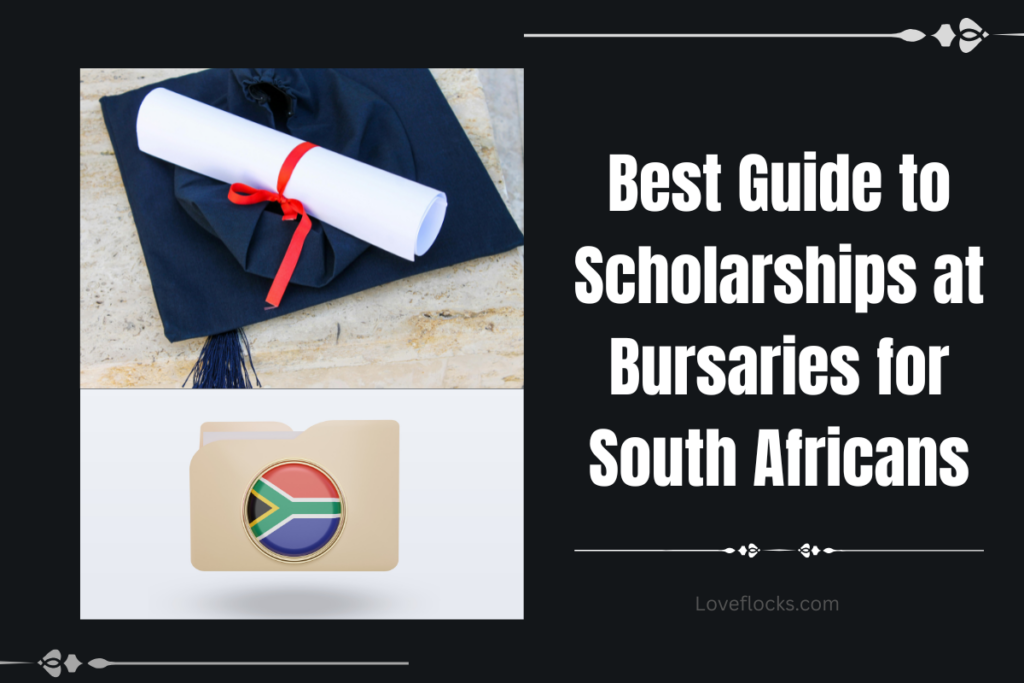 Best Guide to Scholarships at Bursaries for South Africans