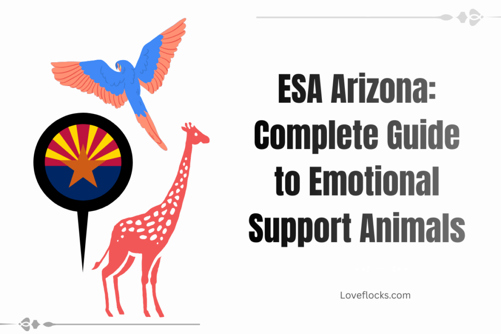 ESA Arizona: Complete Guide to Emotional Support Animals