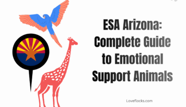 ESA Arizona: Complete Guide to Emotional Support Animals