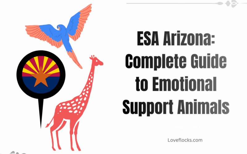 ESA Arizona: Complete Guide to Emotional Support Animals