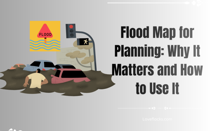 Flood Map for Planning: Why It Matters and How to Use It