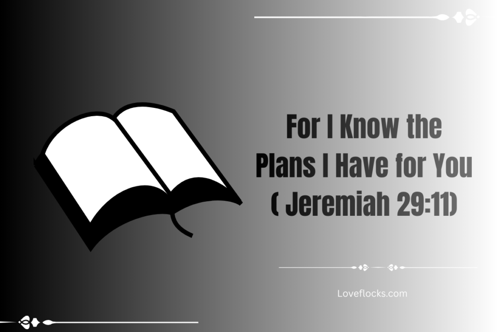 For I Know the Plans I Have for You ( Jeremiah 29:11)