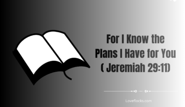 For I Know the Plans I Have for You ( Jeremiah 29:11)