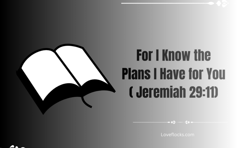 For I Know the Plans I Have for You ( Jeremiah 29:11)